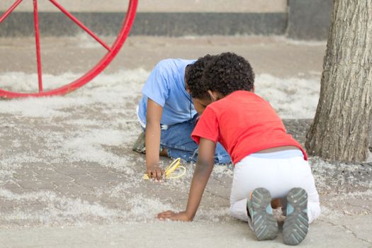 Two young boys exploring the thousands of flower seed heads lying on the ground