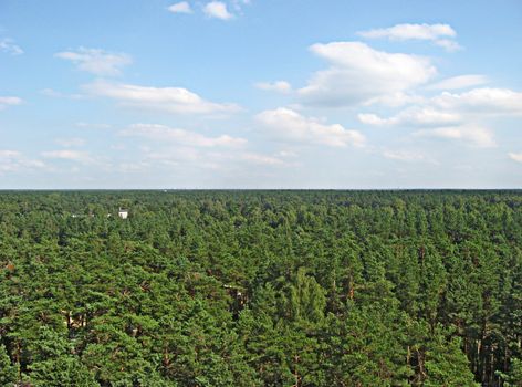 The nature of Latvia near the Baltic sea