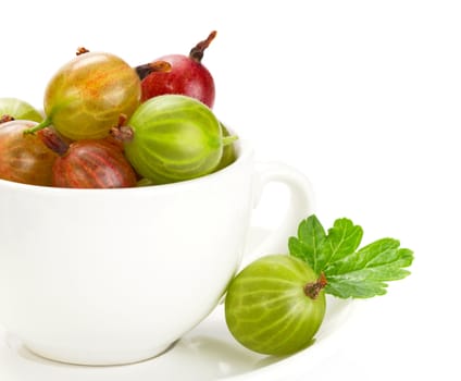 Gooseberries isolated on white background