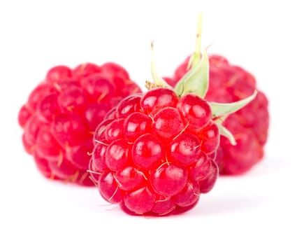 Raspberries on white background