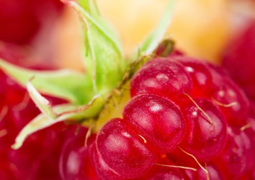 plateful of fresh raspberries on white