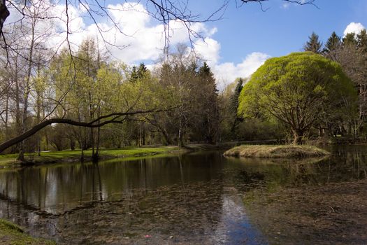 The lake at the park with the lonely island with the tree