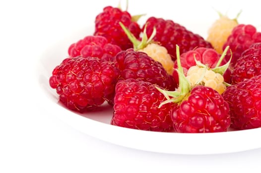 plateful of fresh raspberries on white
