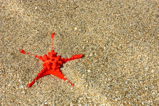 Beautiful red starfish on the sea bottom in the sand