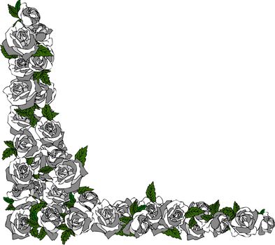 illustration of a rose frame