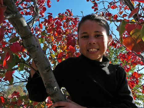 girl in tree with red leaves