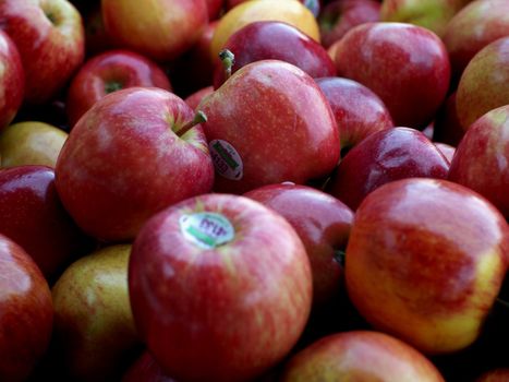 Close up of red Gala apples.