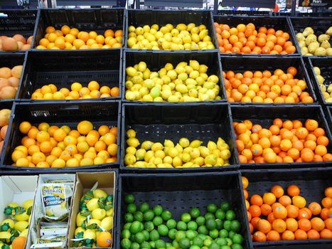 citrus, fruits in grocery store