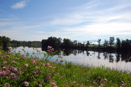 Picture of a calm river on a Summer morning