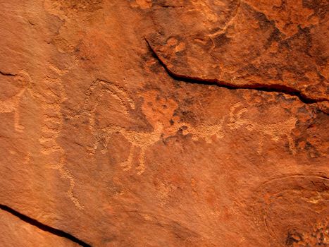 Historic Anasazi petroglyphs depicting animals in Step Canyon, Utah, USA.