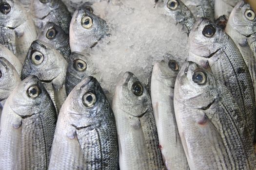 Fresh fish on ice decorated for sale at market