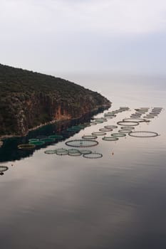 Aquaculture in calm bay offshore Peleponnes island, Greece, Europe.