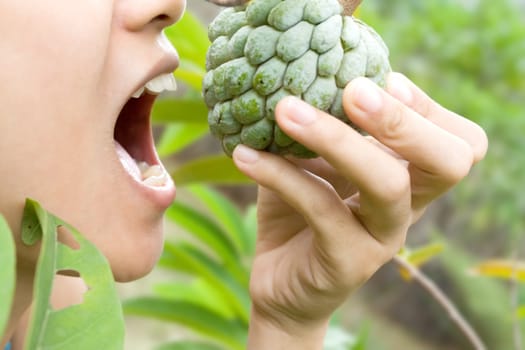 young woman with open mouth trying to eat a fresh custard apple right from it's tree