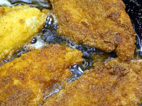 Fish frying in pan