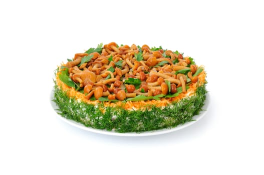 Vegetable cake layers: potatoes, chicken, eggs, carrots, mayonnaise with herbs and mushrooms
