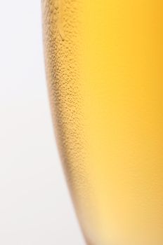 A closeup shot of a fresh, cold beer isolated on white background