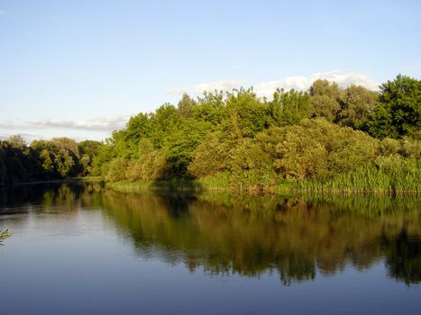 The forest on the shore is reflected in the water