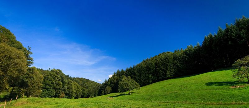 sumer landscape at Germany wiht blue sky and mountain