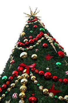 A close-up of a large Christmas Tree.