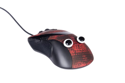 an isolated shot of a computer mouse