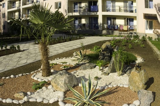 Palm trees in a court yard