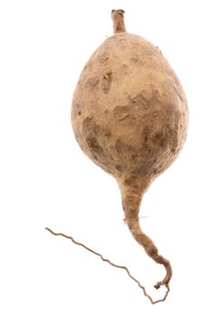 Isolated image of a sweet potato.