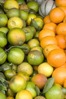 Image of freshly harvested tropical fruits for sale at a farmers' market.