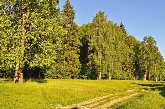 Country dirt road at village outskirts in the evening 