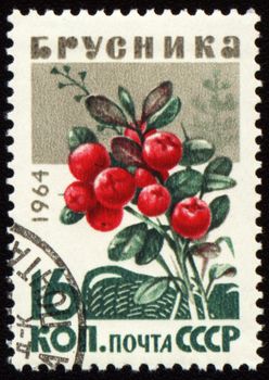 USSR - CIRCA 1964: stamp printed in USSR, shows branch of red whortleberries, circa 1964