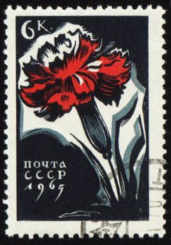 USSR - CIRCA 1965: stamp printed in USSR, shows red carnation flower, circa 1965