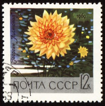 USSR - CIRCA 1969: stamp printed in USSR, shows yellow dahlia "Listopad", circa 1969