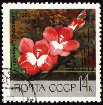 USSR - CIRCA 1969: stamp printed in USSR, shows red gladiolus "Uralochka", circa 1969