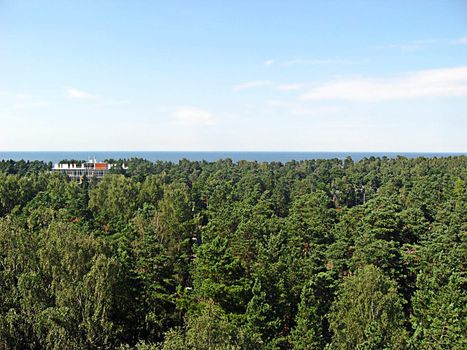 forest of Latvia neat the Baltic sea