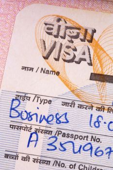 Image of a Indian visa.