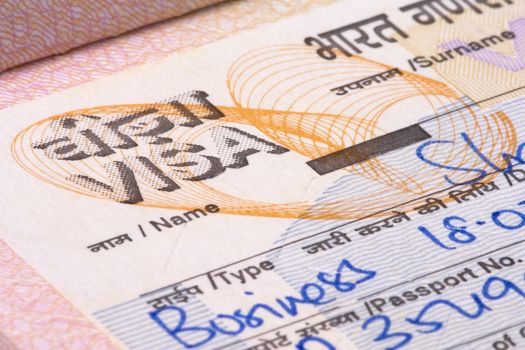 Image of a Indian visa.