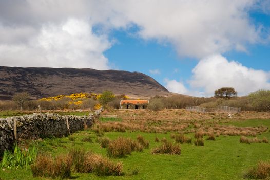 Field and old building on Islay
