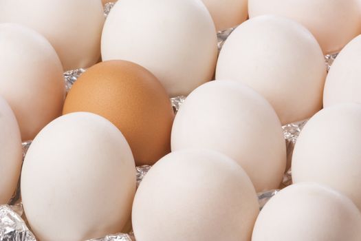 Isolated image of duck and chicken eggs.