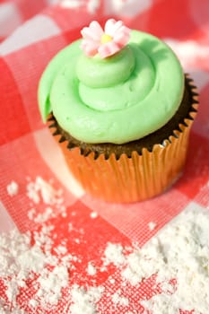 delicious cupcake on a table cloth