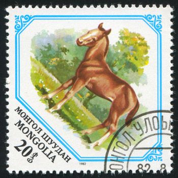 MONGOLIA - CIRCA 1982: stamp printed by Mongolia, shows Colt, circa 1982.