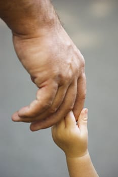 hand in hand , a baby hand is holding an adult hand