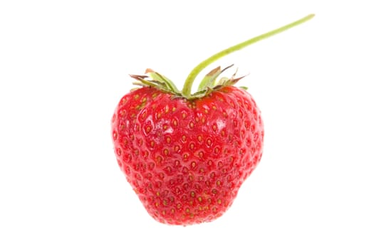 strawberry isolated on white background