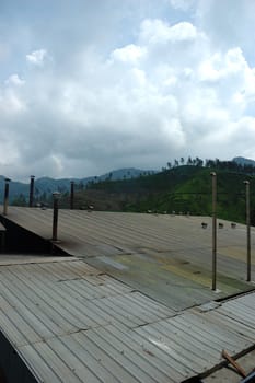 tea factory roof in rancabolang mountain, west java-indonesia