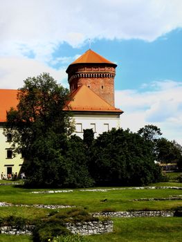 Part of Wawel (Cracow in Poland). Before to building trees and grass. 