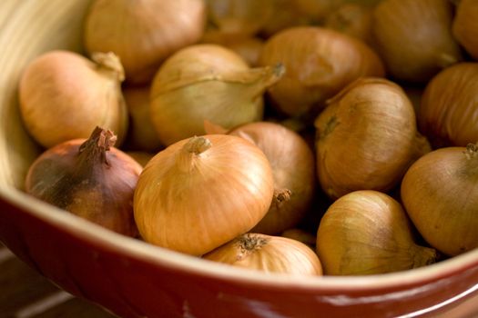 group of onion in a bowl, macro, shallow DOF