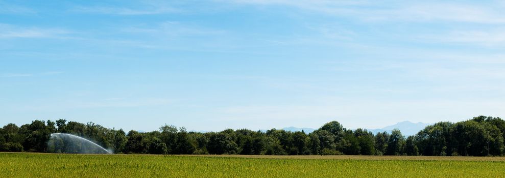 Panoramic landscape of a cornfield and an irrigation system with mountains on the background