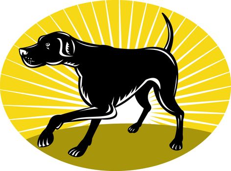 illustration of a Pointer dog with sunburst in background done in retro style set inside an oval.