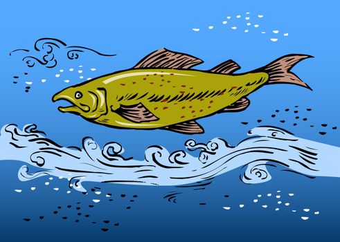 sketch style vector illustration of a speckled trout swiming underwater