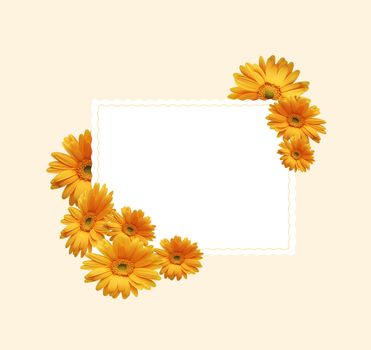 White sheet for an inscription with yellow chrysanthemums isolated on a beige background