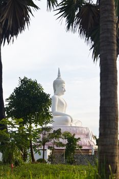 White Buddha statue with tree frame