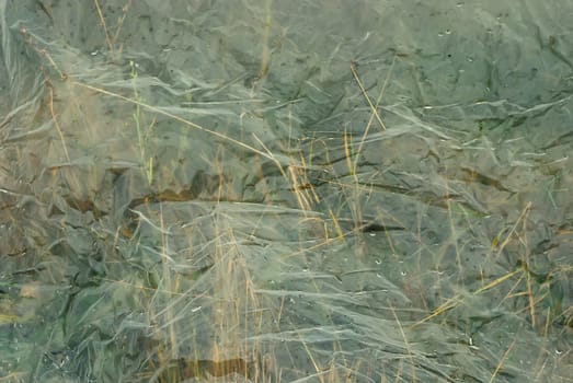 Pale Grass under Cylophane with Drops (can be used as Abstract Background)